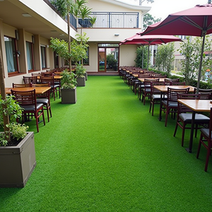 artificial_grass_for_restaurants_and_cafes_vswwujrtlvwsndev8asi_0-ezgif.com-resize