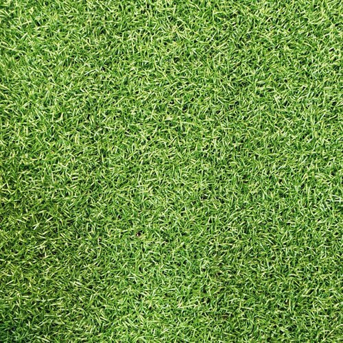 مدل چمن : فر سبز